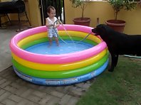 Back Yard Pools and Dogs are More Fun in The Philippines