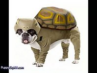 Dog Halloween Costumes for 2011